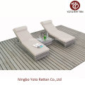 Two PCS Loungers for Outdoor with Teatable (016)